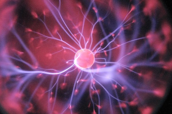 Neuroscience brain research